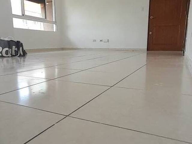 Venta en Avenida Monumental - Santo Domingo