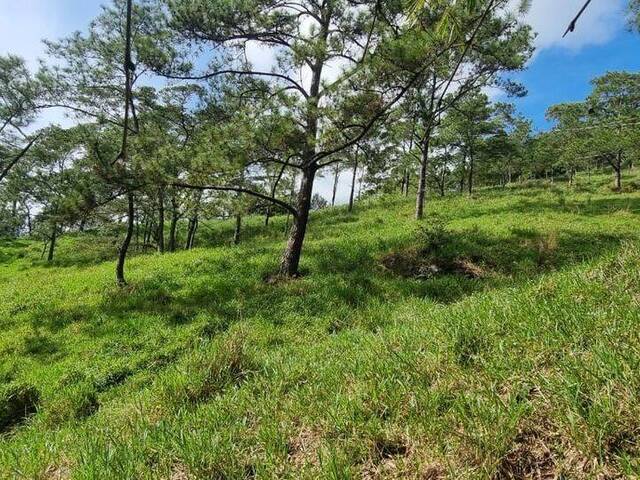 Terreno para Venta en La Vega - 2