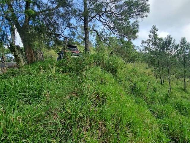 Terreno para Venta en La Vega - 3